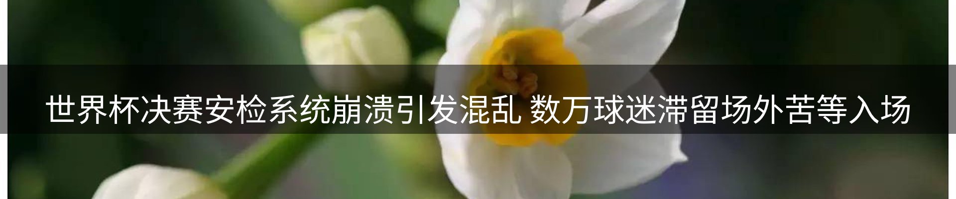 赛事资讯