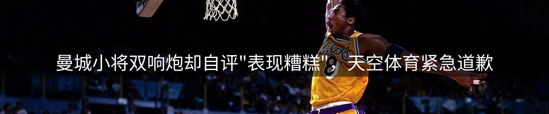 公司导读