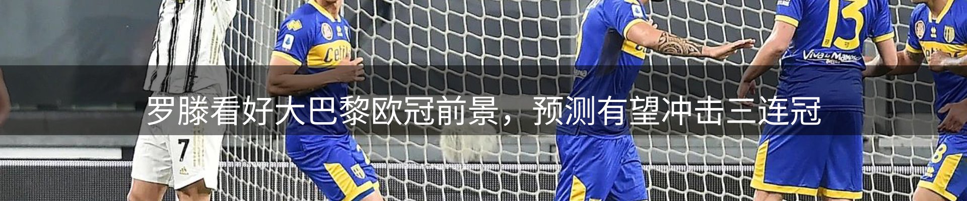 公司导读