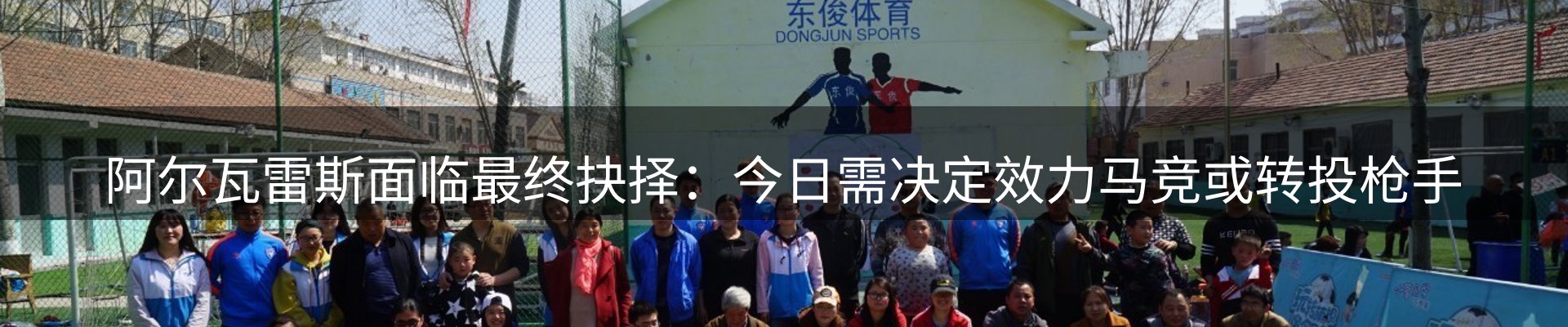 公司导读