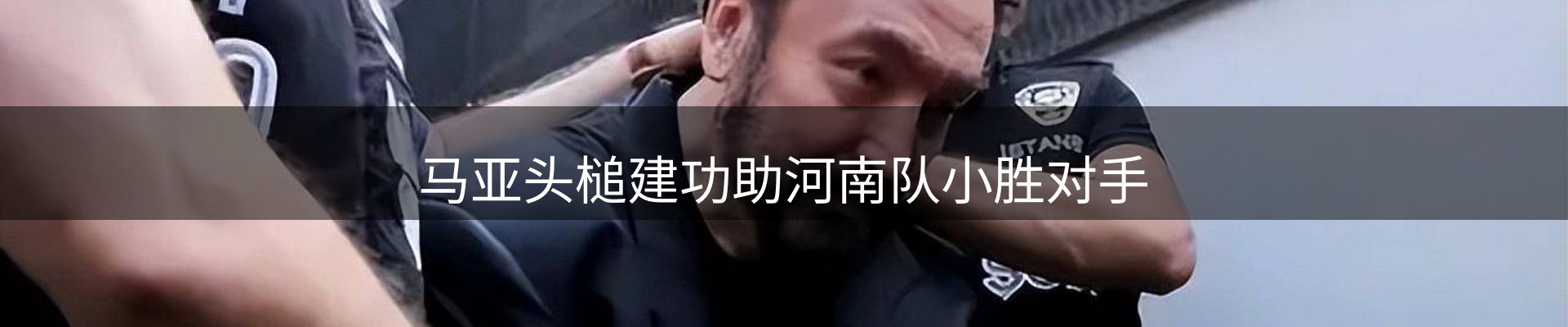 公司导读