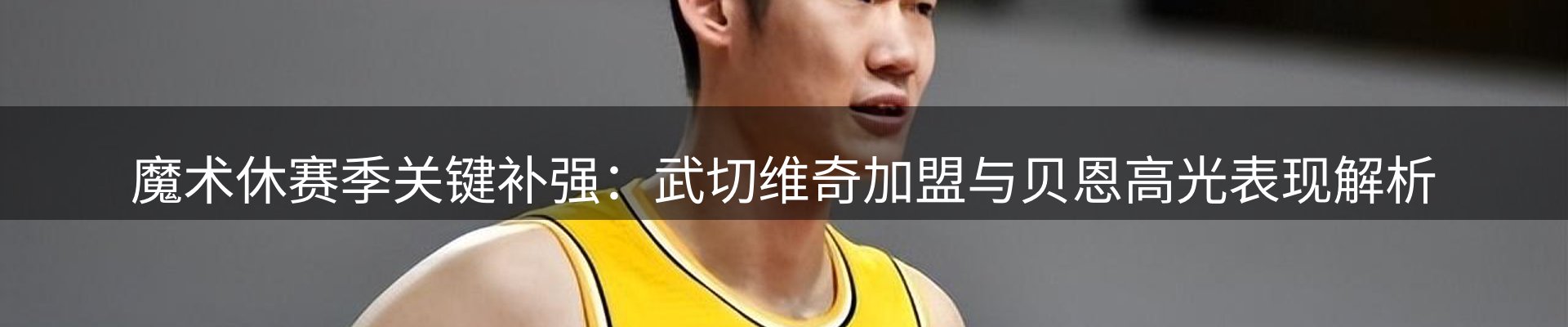 公司导读